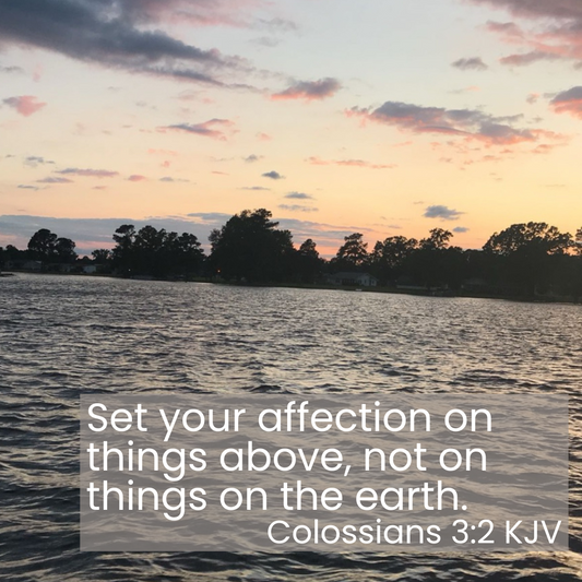 Set Your Affection