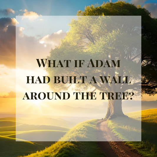 Standards and Boundaries